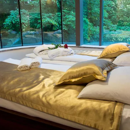 Hotel Rimske Terme - Sisi Rimske Toplice